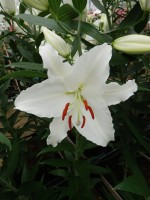 [5285 Avventura No02.JPG]